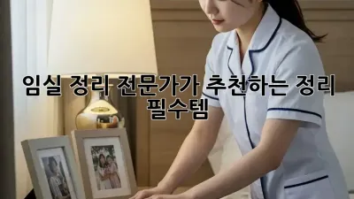 임실 정리 전문가가 추천하는 정리 필수템 🧽✨