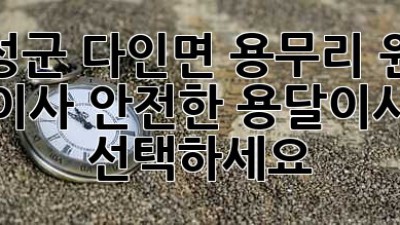 의성군 다인면 용무리 원룸 이사, 안전한 용달이사 선택하세요!