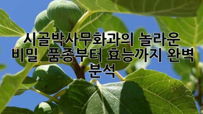 시골박사무화과의 놀라운 비밀! 🤫 품종부터 효능까지 완벽 분석!